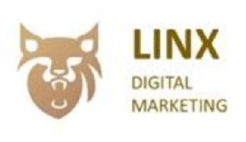 Imagen de LINX DIGITAL MARKETING