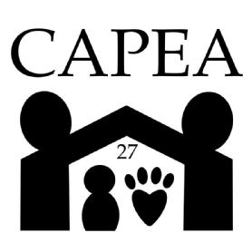 Imagen de CAPEA 27