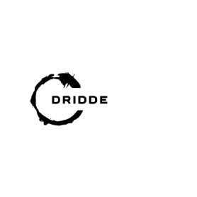 Imagen de DRIDDE