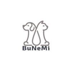 Imagen de BuNeMi