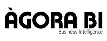 Imagen de AGORA BUSINESS INTELLIGENCE