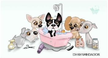 Imagen de DESENREDADOS CHUCHES
