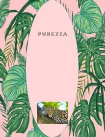Imagen de PUREZZA