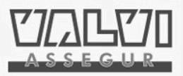 Imagen de VALVI ASSEGUR