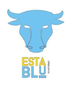 Imagen de ESTABLU DE ASTURIAS