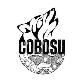 Imagen de COBOSU