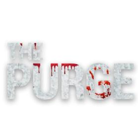 Imagen de THE PURGE