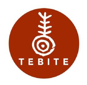 Imagen de TEBITE