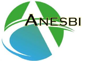 Imagen de ANESBI