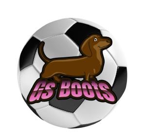 Imagen de GS BOOTS