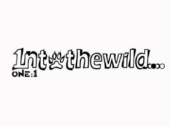 Imagen de 1ntothewild ONE:1