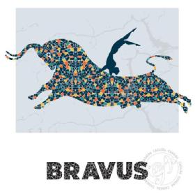 Imagen de BRAVUS CA CASALBA