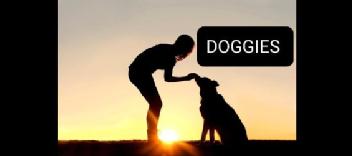 Imagen de DOGGIES