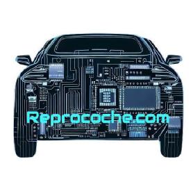Imagen de Reprocoche.com