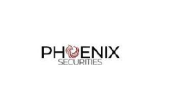 Imagen de PHOENIX SECURITIES