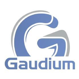 Imagen de Gaudium