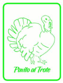 Imagen de Pavito al Trote