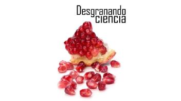Imagen de Desgranando Ciencia