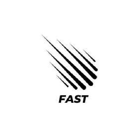 Imagen de FAST