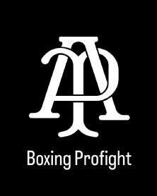 Imagen de AP Boxing Profight