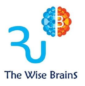Imagen de THE WISE BRAINS