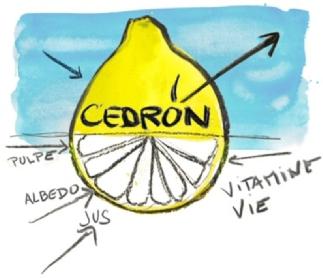 Imagen de CEDRON PULPE ALBEDO JUS VITAMINE VIE