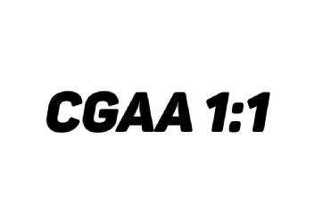 Imagen de CGAA 1:1