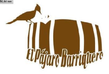 Imagen de EL PÁJARO BARRIQUERO