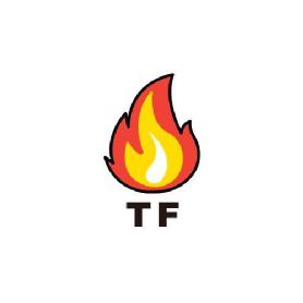Imagen de the fire
