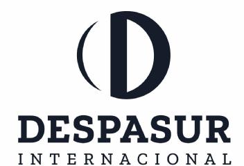 Imagen de D DESPASUR INTERNACIONAL