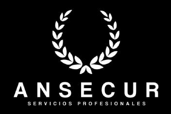 Imagen de Ansecur