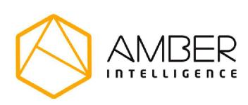 Imagen de AMBER INTELLIGENCE