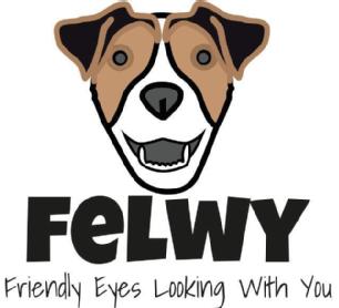 Imagen de FELWY