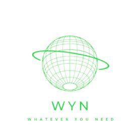 Imagen de WYN WHATEVER YOU NEED SOLUTIONS
