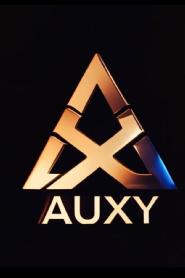 Imagen de AUXY