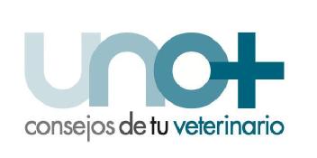 Imagen de Uno + consejos de tu veterinario