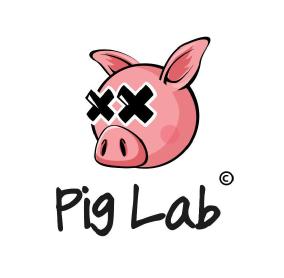 Imagen de PIG LAB