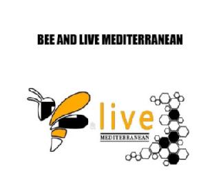 Imagen de BEE AND LIVE MEDITERRANEAN B & LIVE MEDITERRANEAN