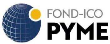 Imagen de FOND-ICO PYME