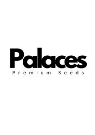 Imagen de PALACES PREMIUM SEEDS