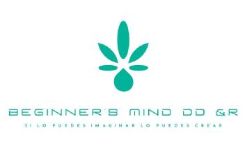 Imagen de BEGINNERS MIND DD & R SI LO PUEDES IMAGINAR LO PUEDES CREAR