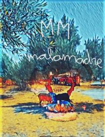 Imagen de MALAMADRE AOVE