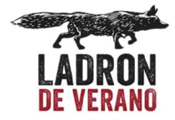 Imagen de LADRON DE VERANO