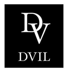 Imagen de DV DVIL