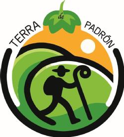 Imagen de TERRA DE PADRÓN