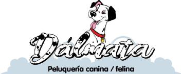 Imagen de Peluquería canina/felina Dálmata