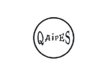 Imagen de QAIPES