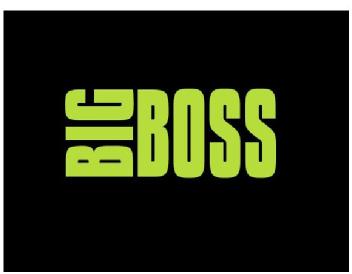 Imagen de BIG BOSS