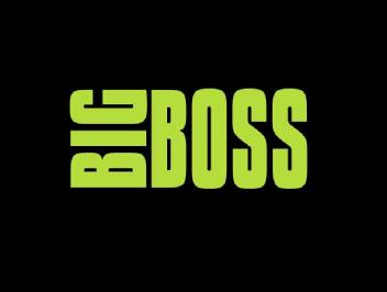 Imagen de BIG BOSS