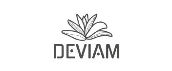 Imagen de DEVIAM